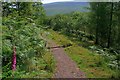 Footpath From the Craig Cerrig-gleisiad in LD3 8NH