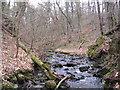Earnock Burn in ML3 8PY