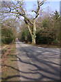 Beechwood Road at Beechwood House, New Forest in SO40 2LP