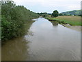 The Severn at Caersws in SY17 5DX