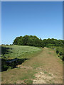 Footpath, Arlington Reservoir in BN26 6TG