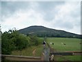 Footpath to the Eildons in Melrose