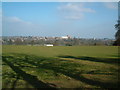 St Albans from the park in AL3 4GB
