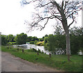 A boat travelling upstream the Yare in Thorpe Hamlet Ward