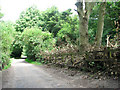 View south-easterly along Whitlingham Lane in Thorpe Hamlet Ward