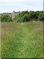 Footpath through a field west of Treen in TR19 6LP