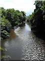 River Severn - Afon Hafren in SY17 5BA