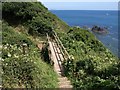 Footbridge near Polstreath in PL26 6RZ