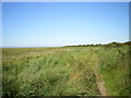 Coastal Path north of Stiffkey in Stiffkey