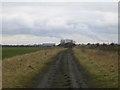 Dirt Track, Besthorpe in Meering