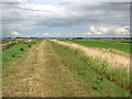 View north-east along the Fen Rivers Way in PE33 0JG