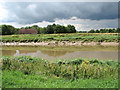 View across the River Great Ouse in PE33 0JG