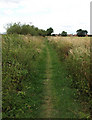 Footpath west of Hook in DN14 5JZ