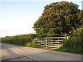Gate into adjoining field in Kirby Bedon
