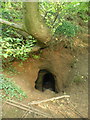 Entrance to the Caynton Hall cave / grotto in TF11 9JQ