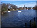 Lower Lake, Albert Park, Middlesbrough in TS1 4JZ
