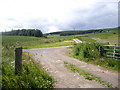 View NW from Burn of Guinea crossing in Kincardineshire