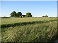 Tophill Lane view of Whitelow Farm in Ible