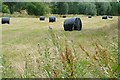 Silage near a footpath in RG26 5FL