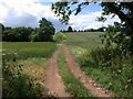 Footpath to Runnington in TA21 0AZ