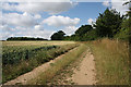 Footpath near Denston in Denston