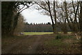 Woods south of the railway in SO51 9BU