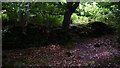 Ancient boundary wall alongside footpath in GU29 0BJ