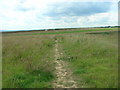 Footpath near Osgodby in YO11 3JR