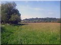 Water meadow near Longridge Farm in GL19 4HX