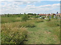 Footpath in Thistle Hill Community Woodland in ME12 3GY