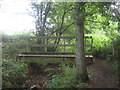 Footbridge in Point Wood (1) in TN11 9PS