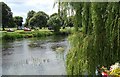 The Avon below the bridge at Bidford in B50 4BG