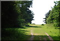 Footpath near University Broad, University of East Anglia in NR4 7RW