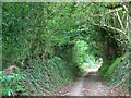 Byway near Bridford in EX6 7EP