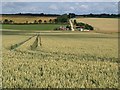 Wheatfield near Old Sarum in SP4 6AD