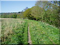 Footpath on bank of River Severn in DY12 1QB