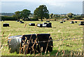 Baled silage near Lower Green in CV23 8DD