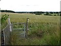 Gate at a junction of footpaths in CV35 7TR