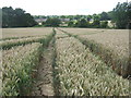 Footpath to Shipbourne Road, from Grange Farm in TN11 9QX