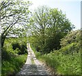 Farm road dipping into the valley and climbing beyond in Rhosybol Community