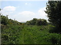 Track south towards Hafod-y-gors in Rhosybol Community
