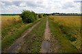 Farm Track near Glebe Farm in DN39 6UT