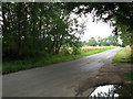 View south-west along Hargham Road in Old Buckenham