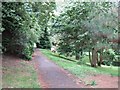 A path through the grounds of the University of Exeter in EX4 4RY