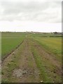 Path across the fields, Scholes in LS15 8LD
