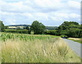 2009 : Road to Stockley and Heddington in SN11 0NX