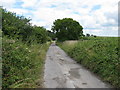 The road from Jay's Farm Bignor to car park near top of Bignor Hill in RH20 1PQ