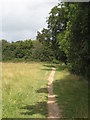 Footpath alongside Blackhouse Wood in RG4 8UU