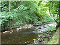 Water of Leith, Colinton Dell in EH13 0EG