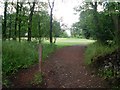 Pathway through Dougalston Golf Course in G62 8HN